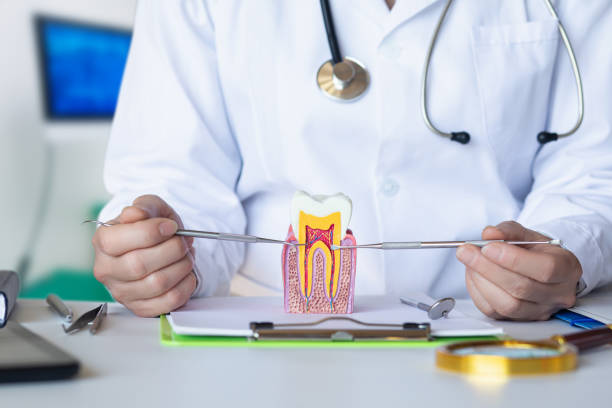 Best Emergency Treatment for Oral Infections in Centennial, CO
